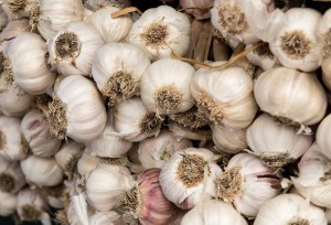 garlic-862331_1920